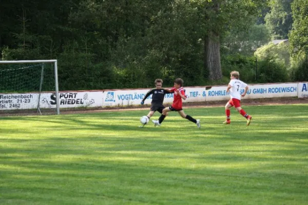 2012-06-18: E-Jug. geg. FSV Zwickau