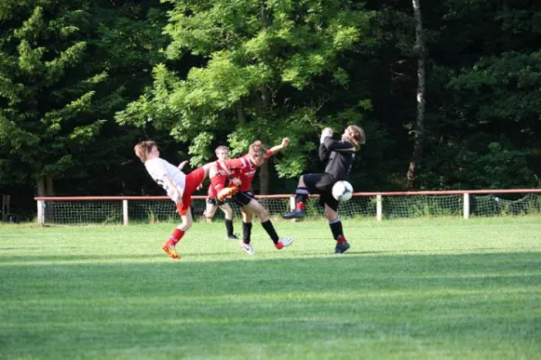 2012-06-18: E-Jug. geg. FSV Zwickau