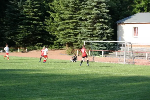 2012-06-18: E-Jug. geg. FSV Zwickau