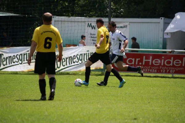 2012-06-23: AH - Pokalfinale