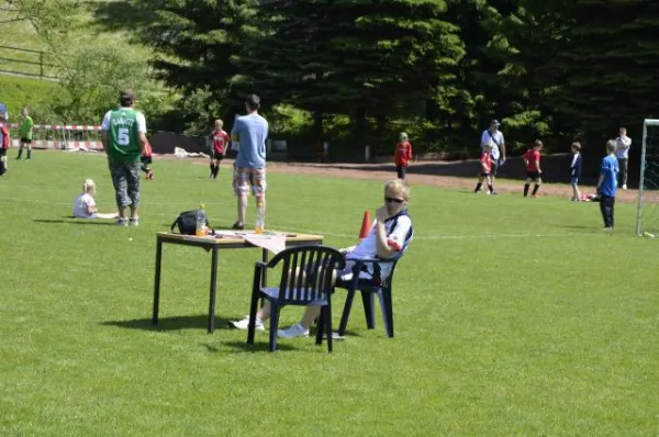 2013-06-22: Plohni-Cup