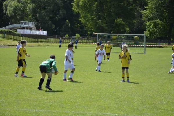 2013-06-22: Plohni-Cup