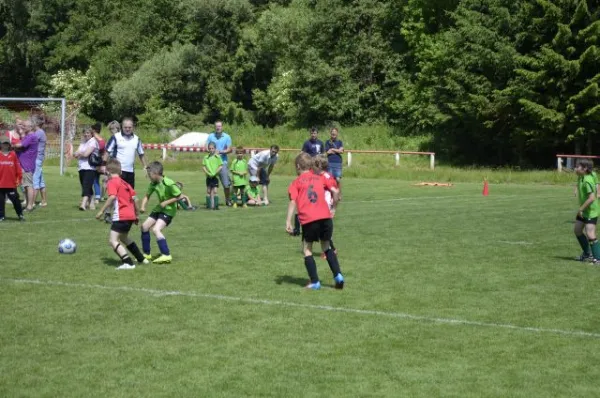 2013-06-22: Plohni-Cup