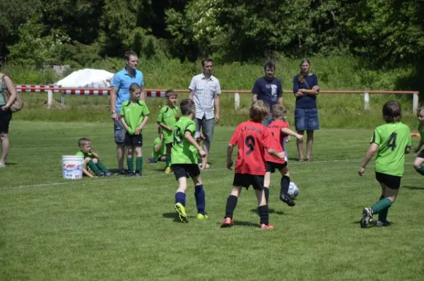 2013-06-22: Plohni-Cup