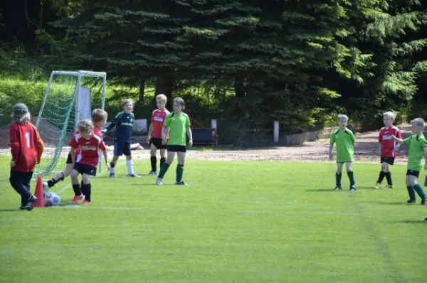 2013-06-22: Plohni-Cup