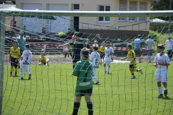 2013-06-22: Plohni-Cup