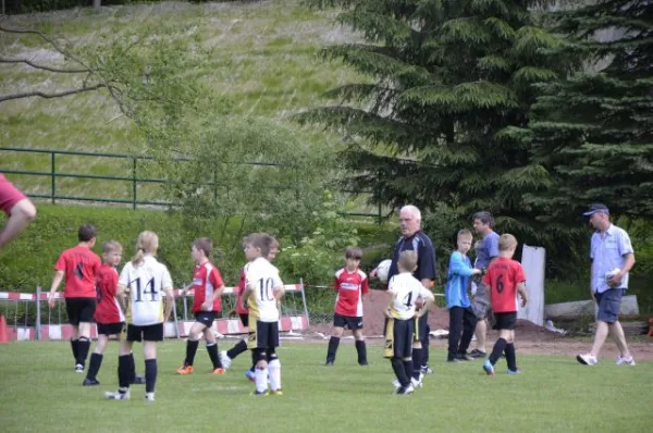 2013-06-22: Plohni-Cup