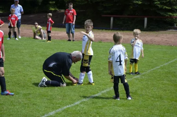 2013-06-22: Plohni-Cup