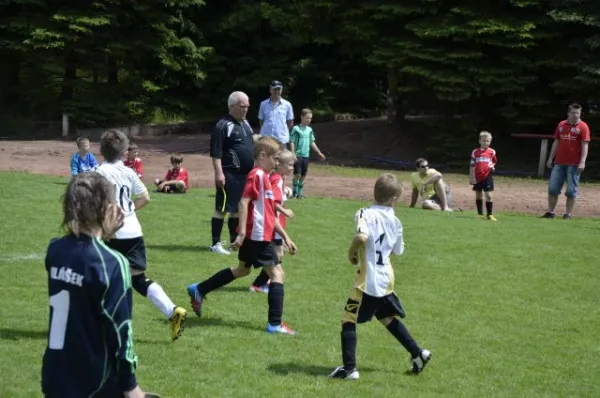 2013-06-22: Plohni-Cup