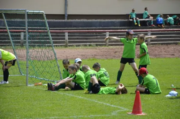 2013-06-22: Plohni-Cup