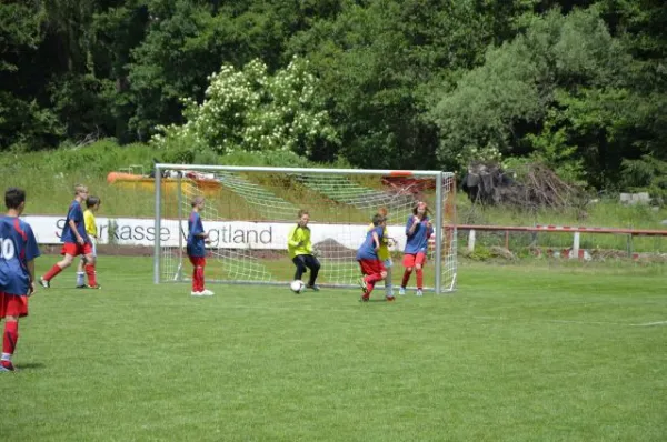 2013-06-22: Plohni-Cup