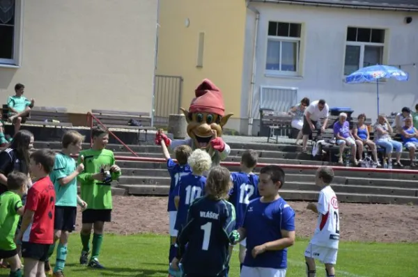 2013-06-22: Plohni-Cup