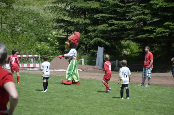 2013-06-22: Plohni-Cup