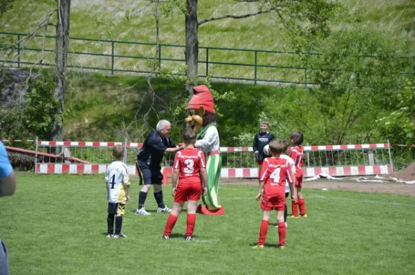 2013-06-22: Plohni-Cup