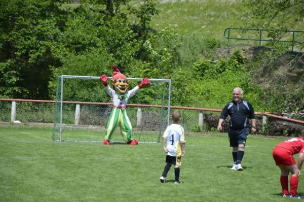 2013-06-22: Plohni-Cup