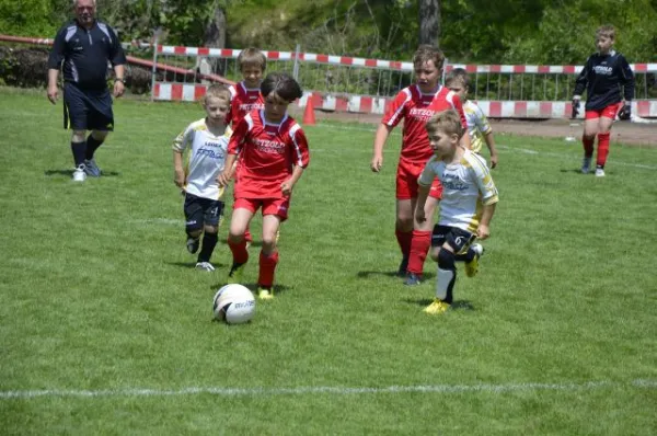 2013-06-22: Plohni-Cup