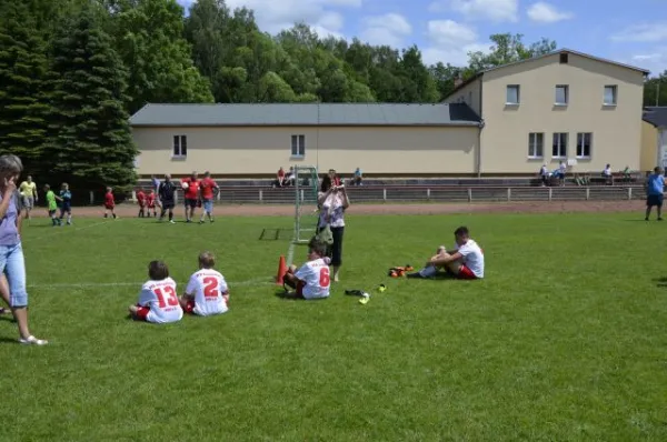 2013-06-22: Plohni-Cup