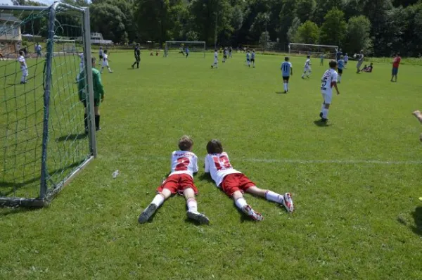 2013-06-22: Plohni-Cup