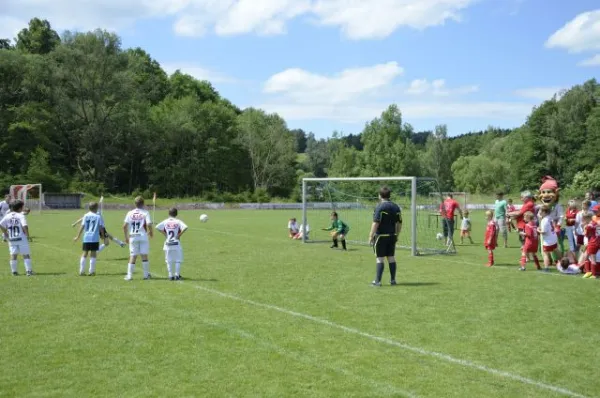 2013-06-22: Plohni-Cup