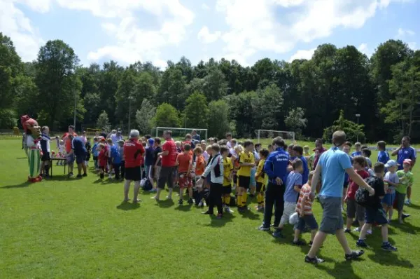 2013-06-22: Plohni-Cup