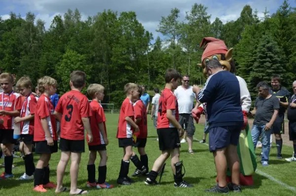 2013-06-22: Plohni-Cup