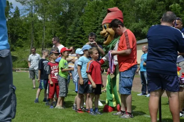 2013-06-22: Plohni-Cup