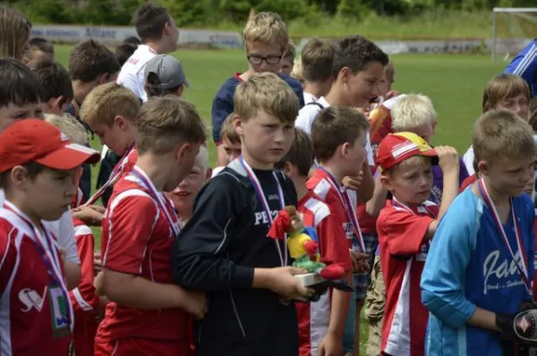 2013-06-22: Plohni-Cup