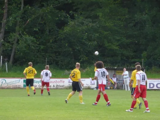 2013-07-17: Hochwasser-Benefizspiel