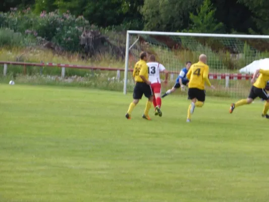 2013-07-17: Hochwasser-Benefizspiel