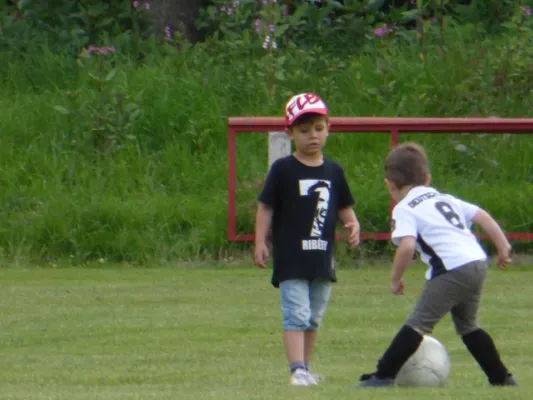 2013-07-17: Hochwasser-Benefizspiel