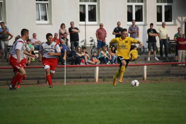2013-07-17: Hochwasser-Benefizspiel