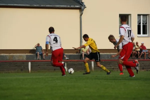 2013-07-17: Hochwasser-Benefizspiel