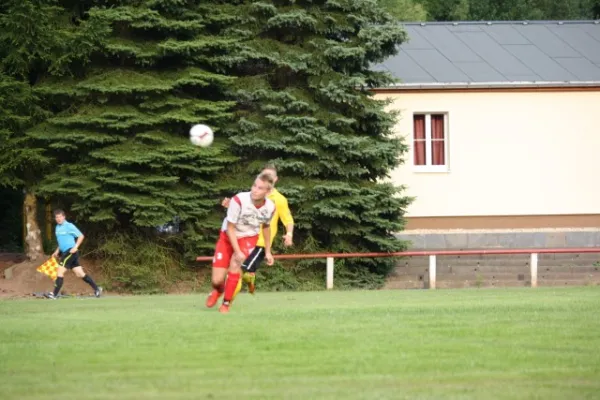 2013-07-17: Hochwasser-Benefizspiel