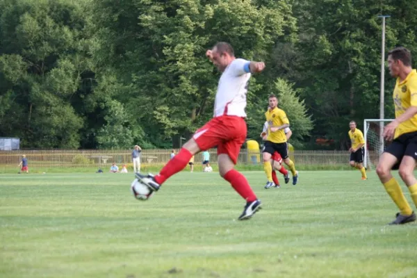 2013-07-17: Hochwasser-Benefizspiel