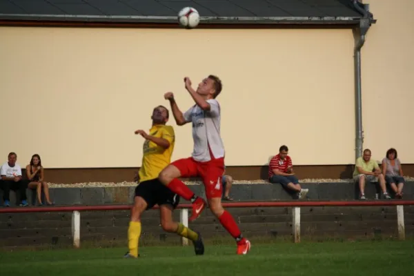 2013-07-17: Hochwasser-Benefizspiel