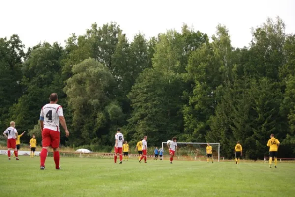 2013-07-17: Hochwasser-Benefizspiel