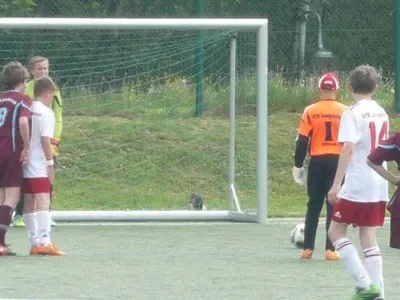 2014-05-31: D-Jugend - Pokalsieg