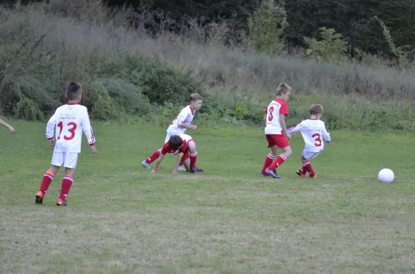 2016-09-21: E-Jugend - Pokal (U10 - U11)