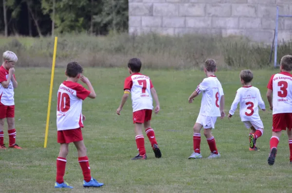 2016-09-21: E-Jugend - Pokal (U10 - U11)