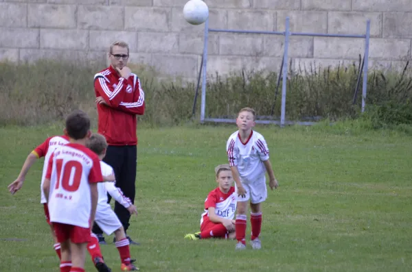 2016-09-21: E-Jugend - Pokal (U10 - U11)