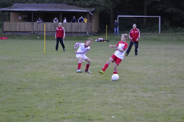 2016-09-21: E-Jugend - Pokal (U10 - U11)