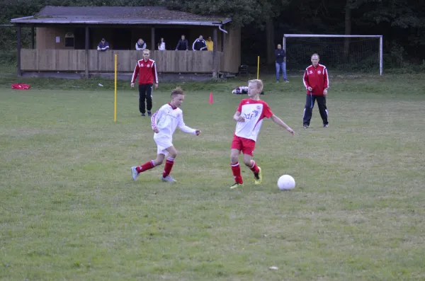 2016-09-21: E-Jugend - Pokal (U10 - U11)