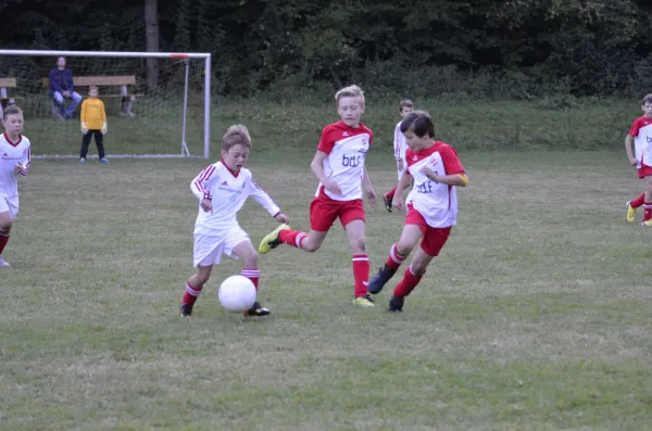 2016-09-21: E-Jugend - Pokal (U10 - U11)