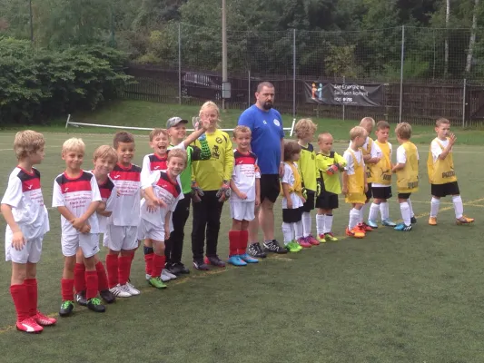 01.09.2015 VfB Auerbach 1906 vs. VfB Lengenfeld 1908