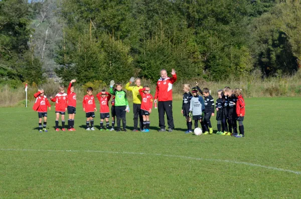 03.10.2015 VfB Lengenfeld 1908 vs. 1. FC Rodewisch II