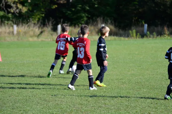 03.10.2015 VfB Lengenfeld 1908 vs. 1. FC Rodewisch II