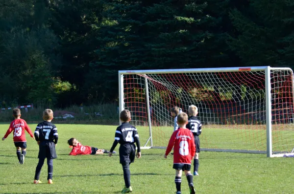 03.10.2015 VfB Lengenfeld 1908 vs. 1. FC Rodewisch II