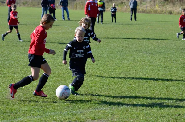 03.10.2015 VfB Lengenfeld 1908 vs. 1. FC Rodewisch II