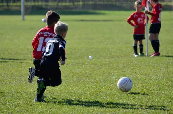 03.10.2015 VfB Lengenfeld 1908 vs. 1. FC Rodewisch II