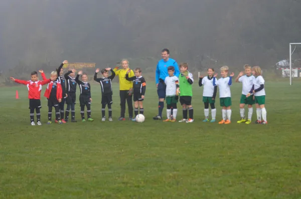 31.10.2015 VfB Lengenfeld 1908 vs. BSV 53 Irfersgrün